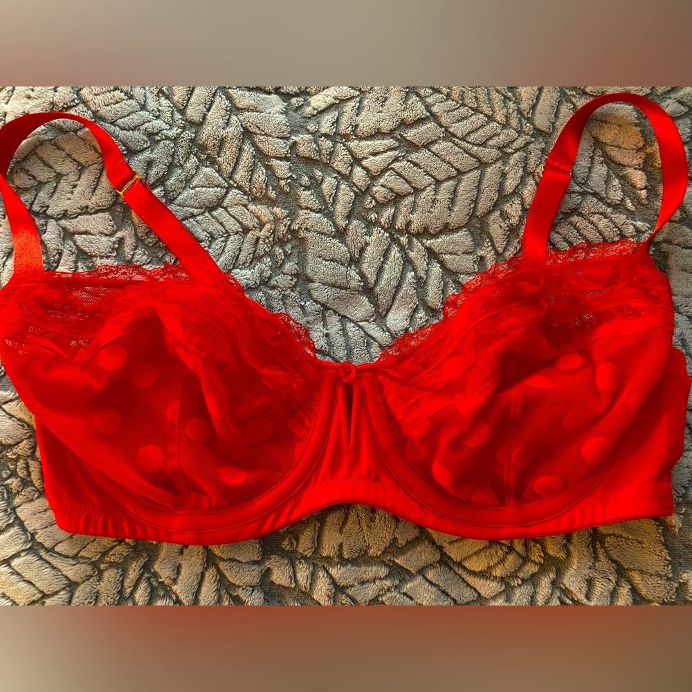 Cacique red underwire bra from Lane Bryant